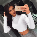 Seductive Slim Fit Turtleneck – Long Sleeve Crop Top